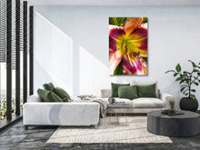 Load image into Gallery viewer, Daylily in Bloom Canvas Print