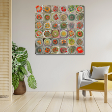 Load image into Gallery viewer, Beautiful Cactus in Bloom Collage