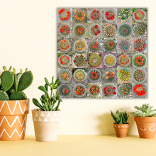 Load image into Gallery viewer, Beautiful Cactus in Bloom Collage
