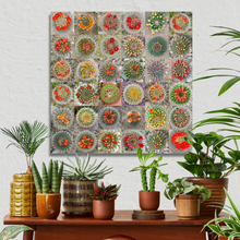 Load image into Gallery viewer, Beautiful Cactus in Bloom Collage