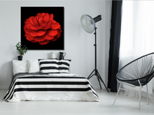 Load image into Gallery viewer, When is a Rose not a Rose? When it's a Beautiful Camellia