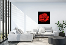 Load image into Gallery viewer, When is a Rose not a Rose? When it's a Beautiful Camellia