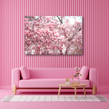 Load image into Gallery viewer, Japanese Magnolias in Full Bloom