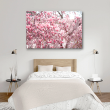 Load image into Gallery viewer, Japanese Magnolias in Full Bloom