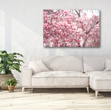 Load image into Gallery viewer, Japanese Magnolias in Full Bloom