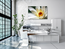 Load image into Gallery viewer, White Water Lily
