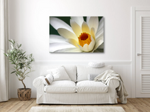 Load image into Gallery viewer, White Water Lily