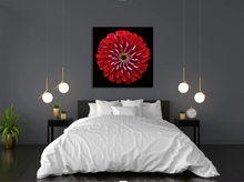 Load image into Gallery viewer, Perfect Red Flower from Central Park Canvas