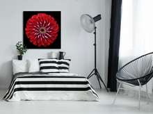 Load image into Gallery viewer, Perfect Red Flower from Central Park Canvas