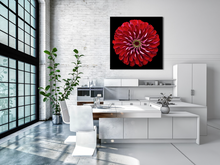 Load image into Gallery viewer, Perfect Red Flower from Central Park Canvas