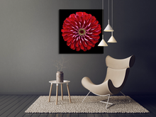 Load image into Gallery viewer, Perfect Red Flower from Central Park Canvas
