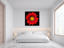 Load image into Gallery viewer, Red Gazania Flower photographed in Niagara