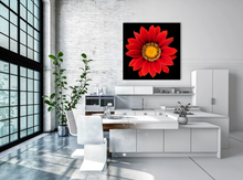 Load image into Gallery viewer, Red Gazania Flower photographed in Niagara