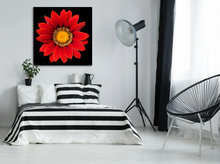 Load image into Gallery viewer, Red Gazania Flower photographed in Niagara