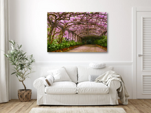 Load image into Gallery viewer, Wisteria in Full Bloom at La Concepción Botanical Garden in Málaga, Spain