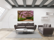 Load image into Gallery viewer, Wisteria in Full Bloom at La Concepción Botanical Garden in Málaga, Spain