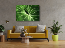 Load image into Gallery viewer, Tropical Velvet Leaf Anthurium Close-Up