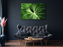 Load image into Gallery viewer, Tropical Velvet Leaf Anthurium Close-Up