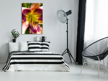 Load image into Gallery viewer, Daylily in Bloom Canvas Print