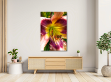 Load image into Gallery viewer, Daylily in Bloom Canvas Print