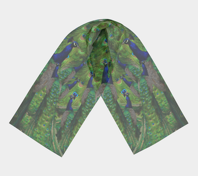 Beautiful Peacock Scarf - Peacocks Galore!